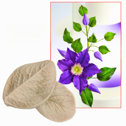 Molde de Silicona Texturizador de Hoja